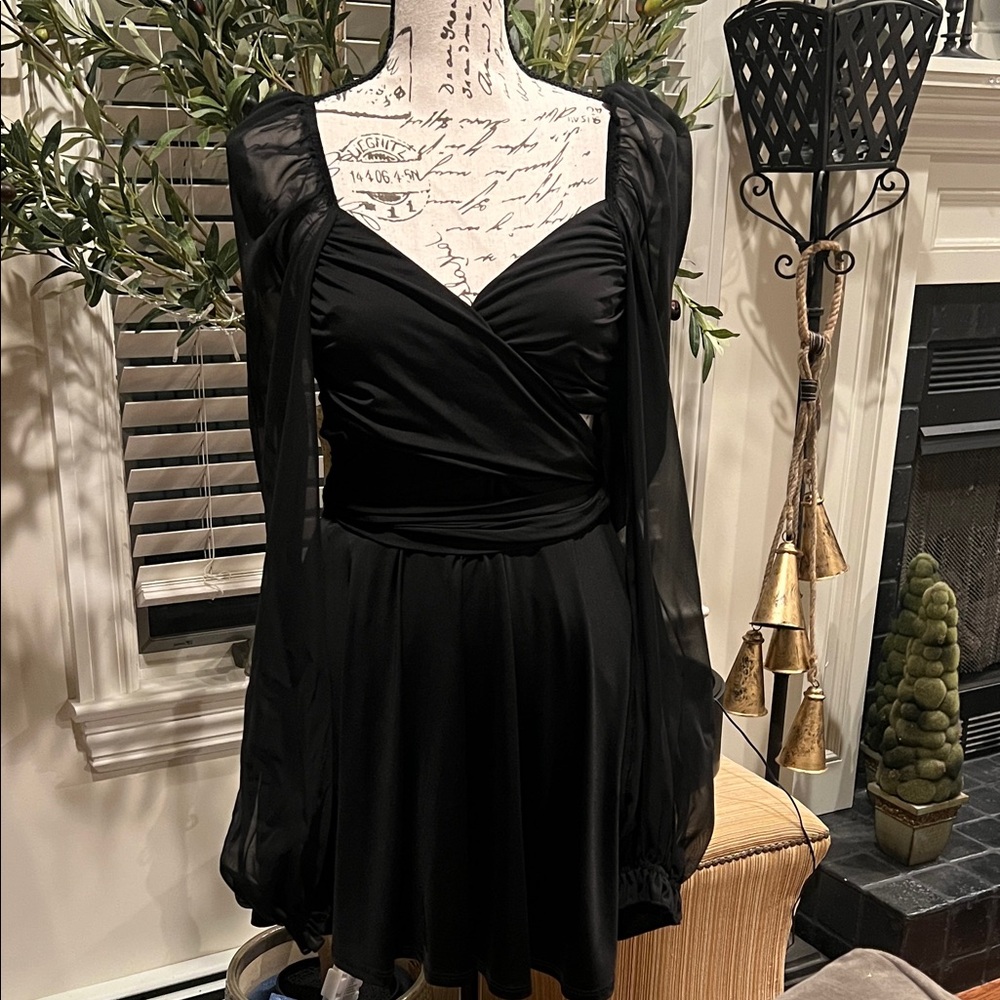 Lucy in the Sky Black Dress with Sheer Long Sleeves